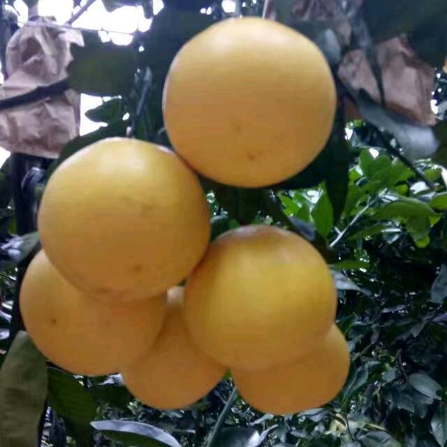 河床上的石头