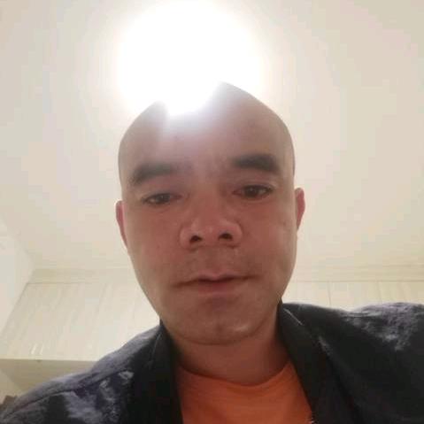 莫歌