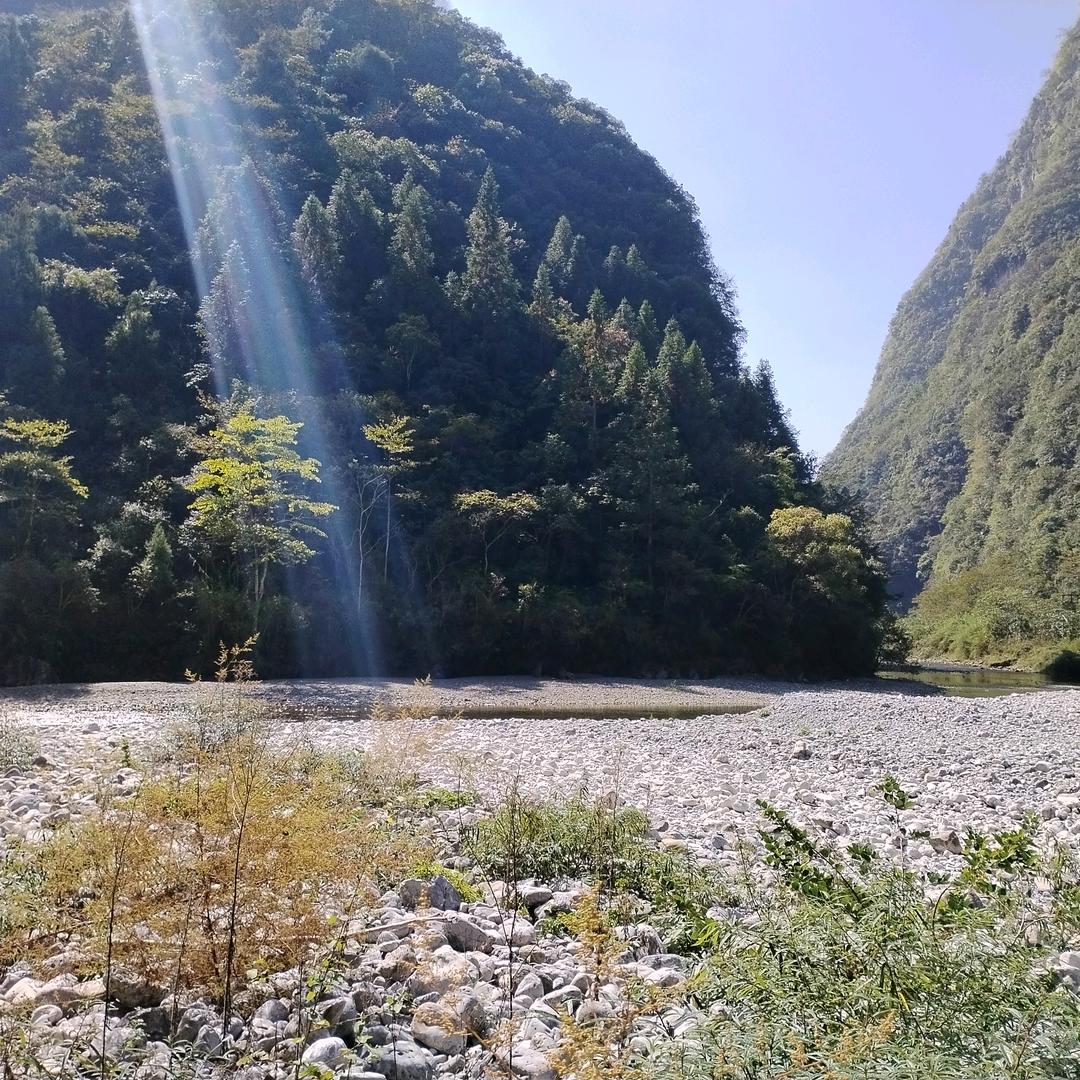 泛滥的温柔