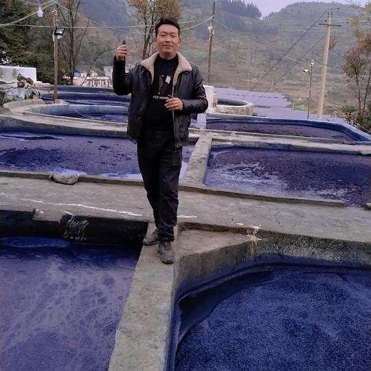 蓝靛哥