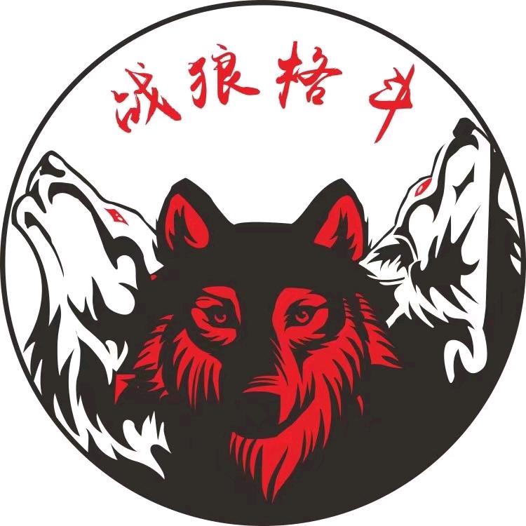战狼格斗-吴小宝（官方号）