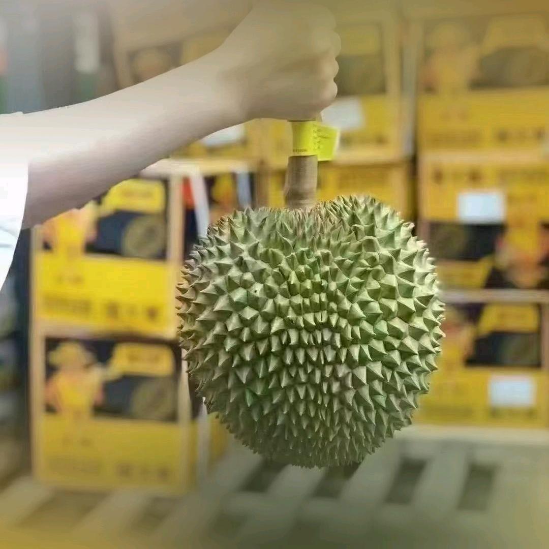 榴芒先生