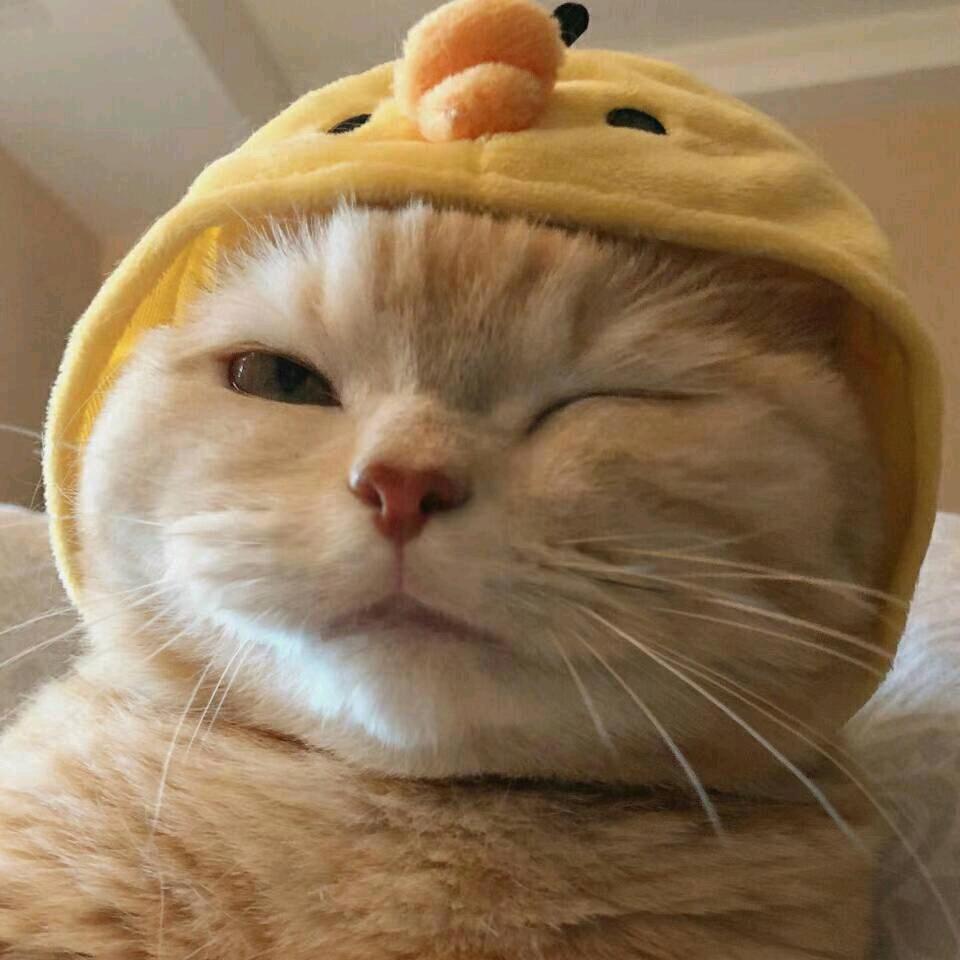 通#