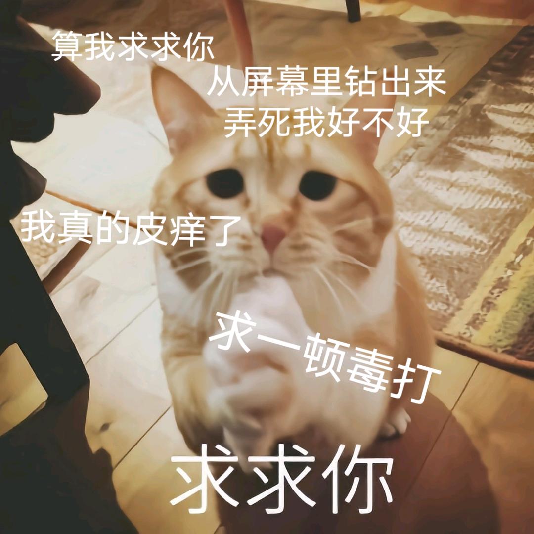 bbdw