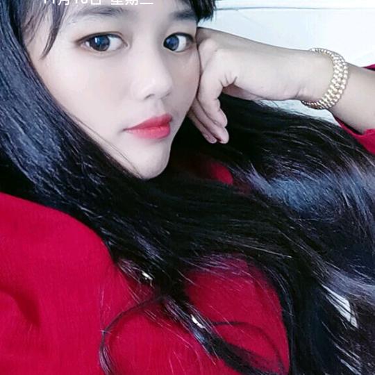 威宁小燕子