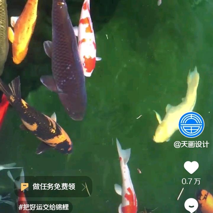 用户8173366719752，海纳百川