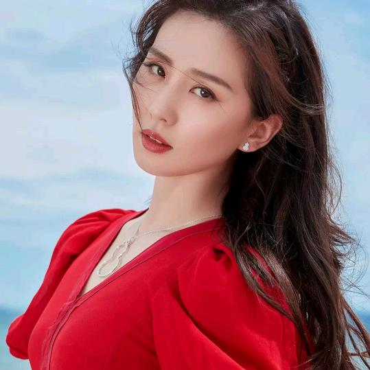 孤独的小鸟