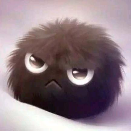 阳光下の懒猫