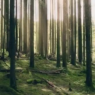 （:相遇即是缘:）