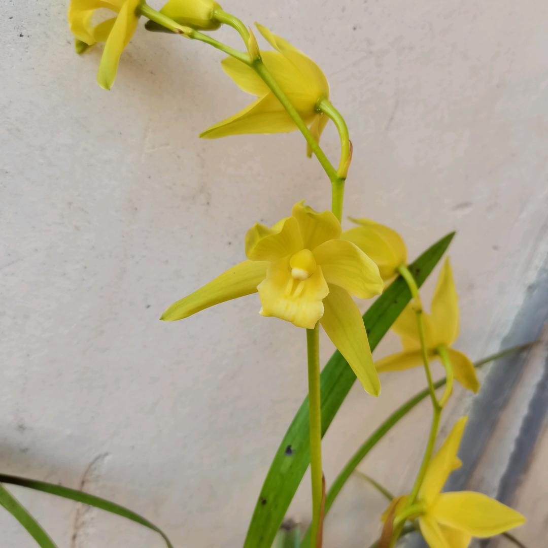 小水爬虫