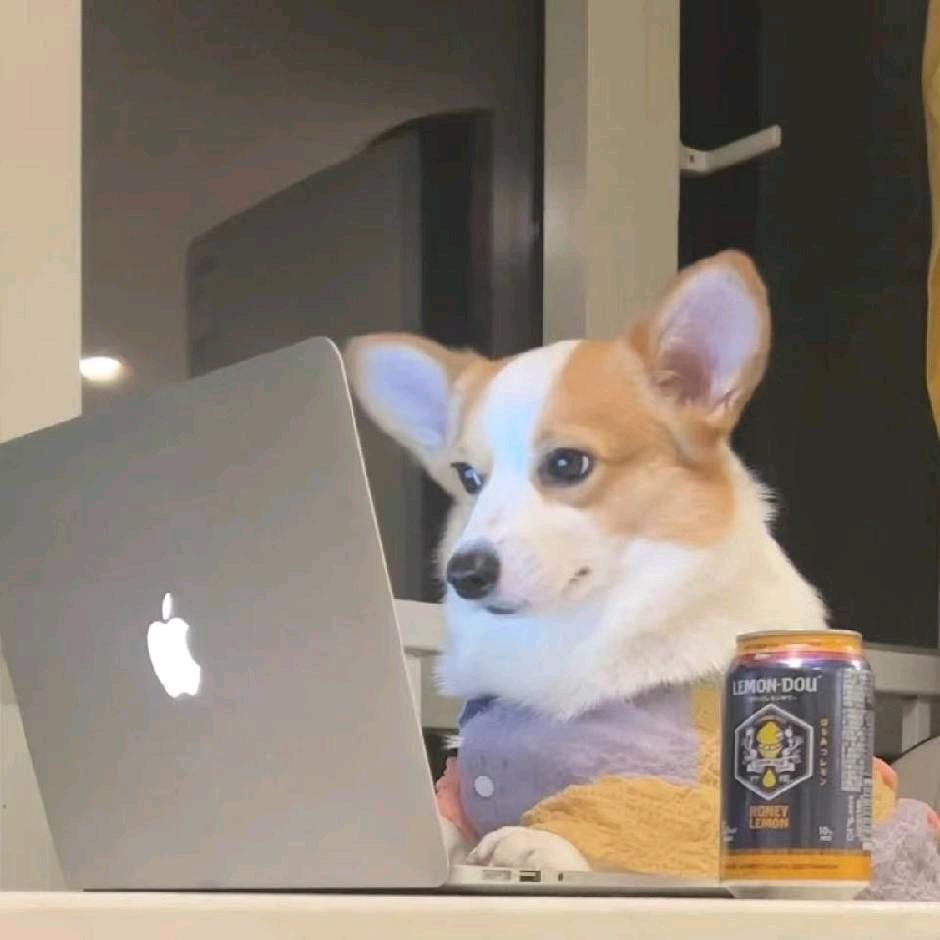 卜卜卜