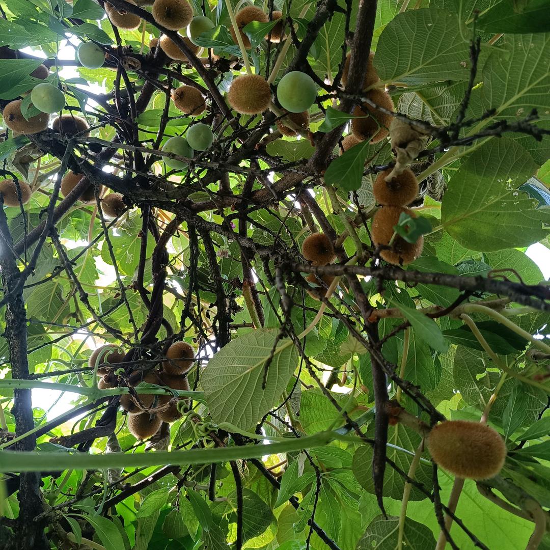 你若知我的苦早点回到我身边👫