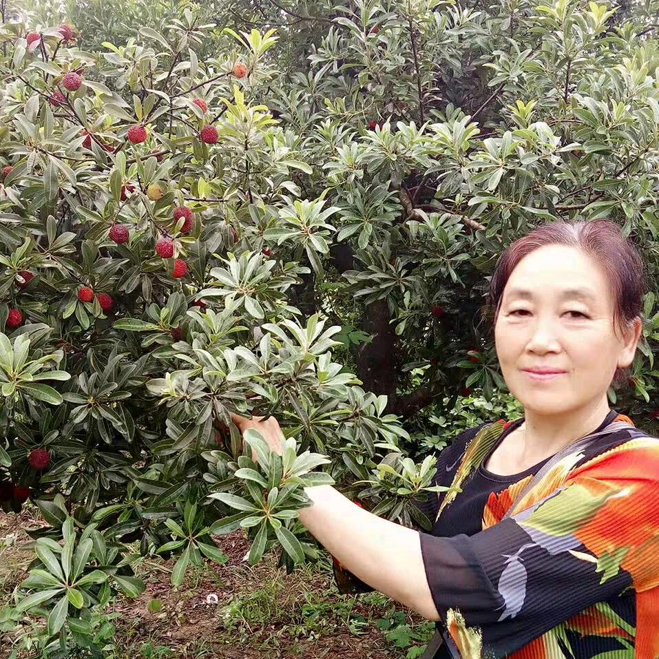 图文好物分享