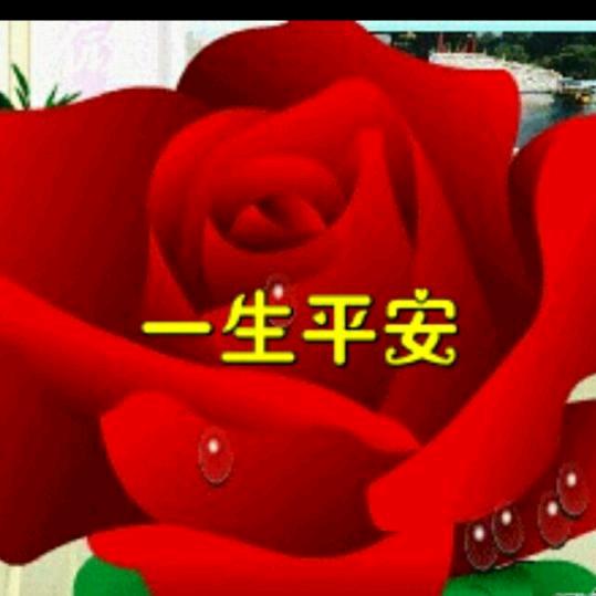 平安🌹🌹🌹郭姐🍎🍎🍎