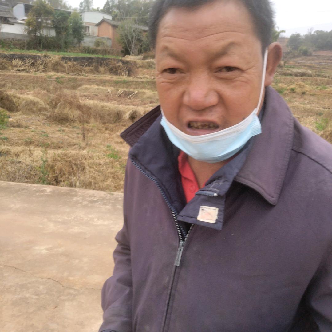 小定平