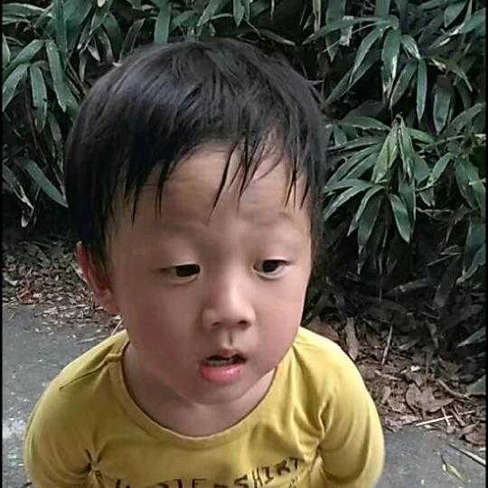 余生随心。