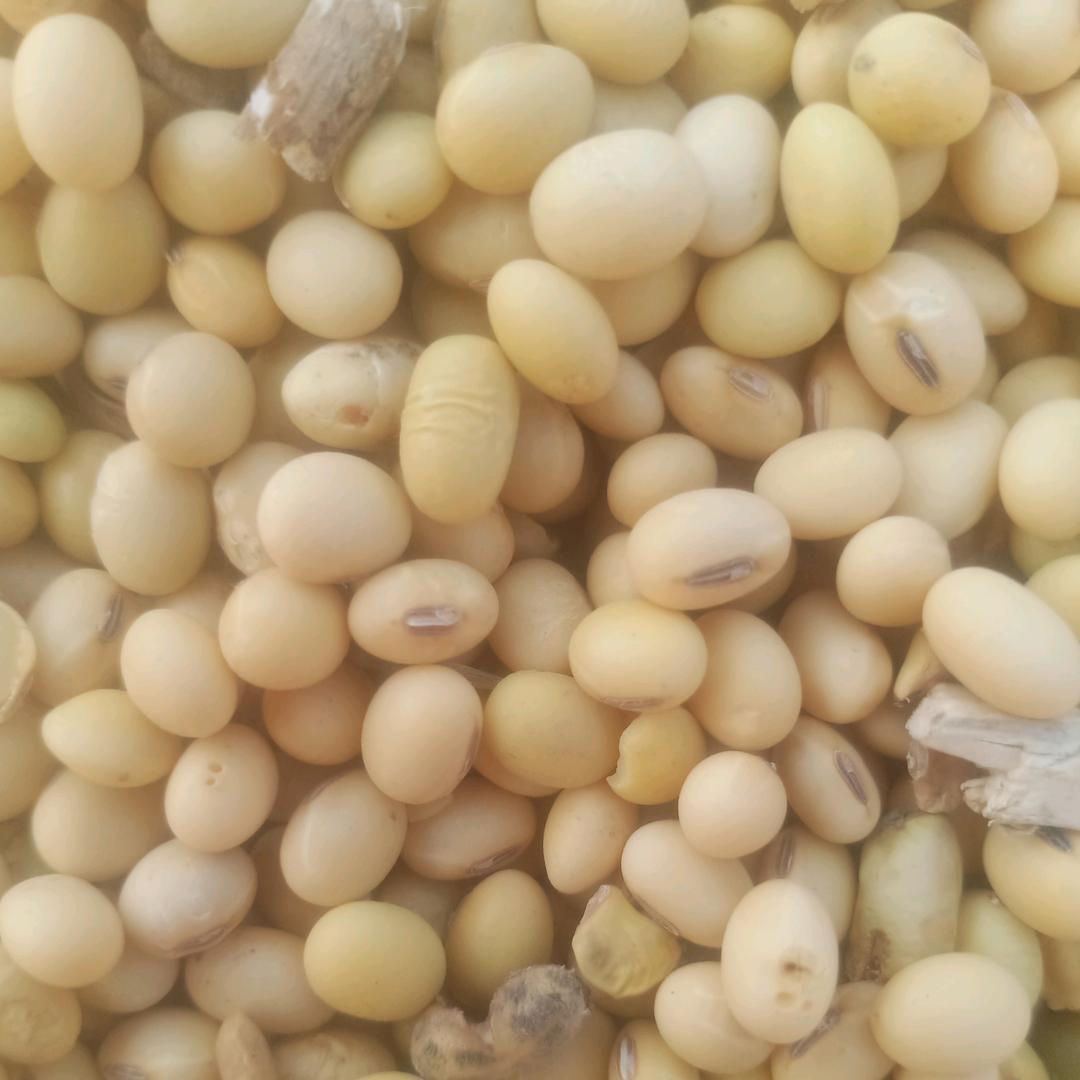 汝南粮油