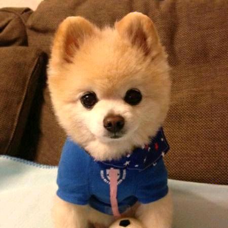 (◕ˇ∀ˇ◕)简爱