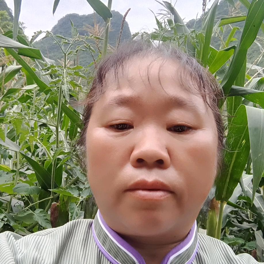 小英每天9.30开播