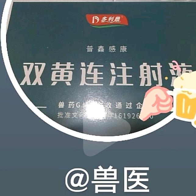兽医