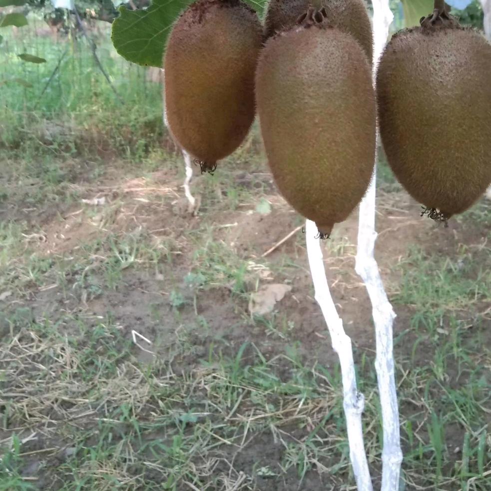 闲人
