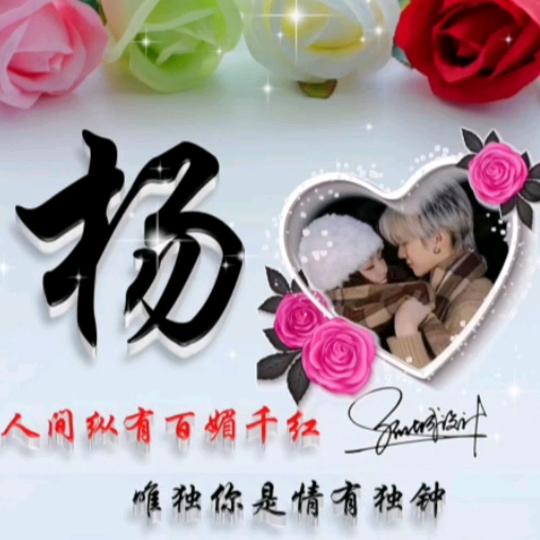 北柠莫寒