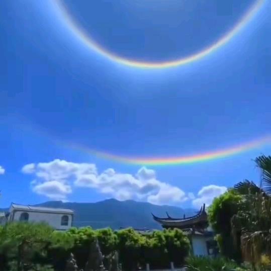 金城哥