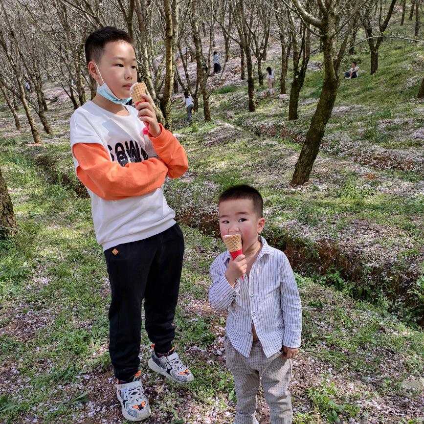 王家三小姐