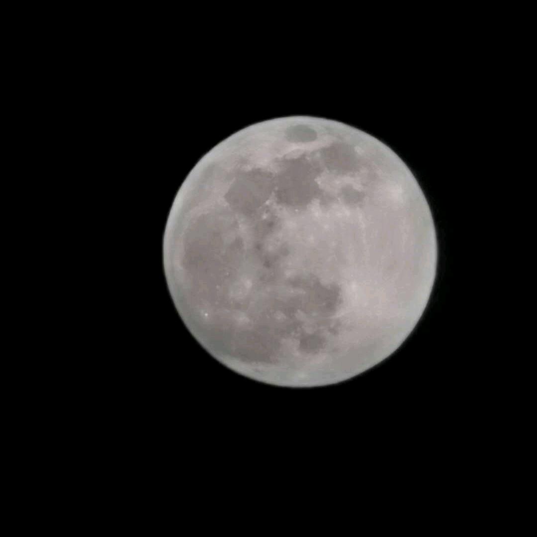 ※纵有疾风起。