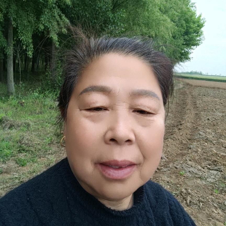 金色年花