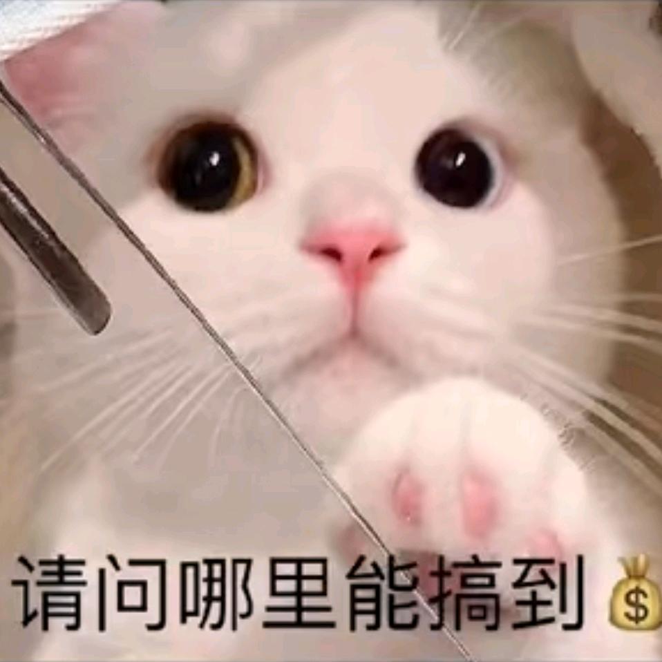 Xuan（无畏契约）