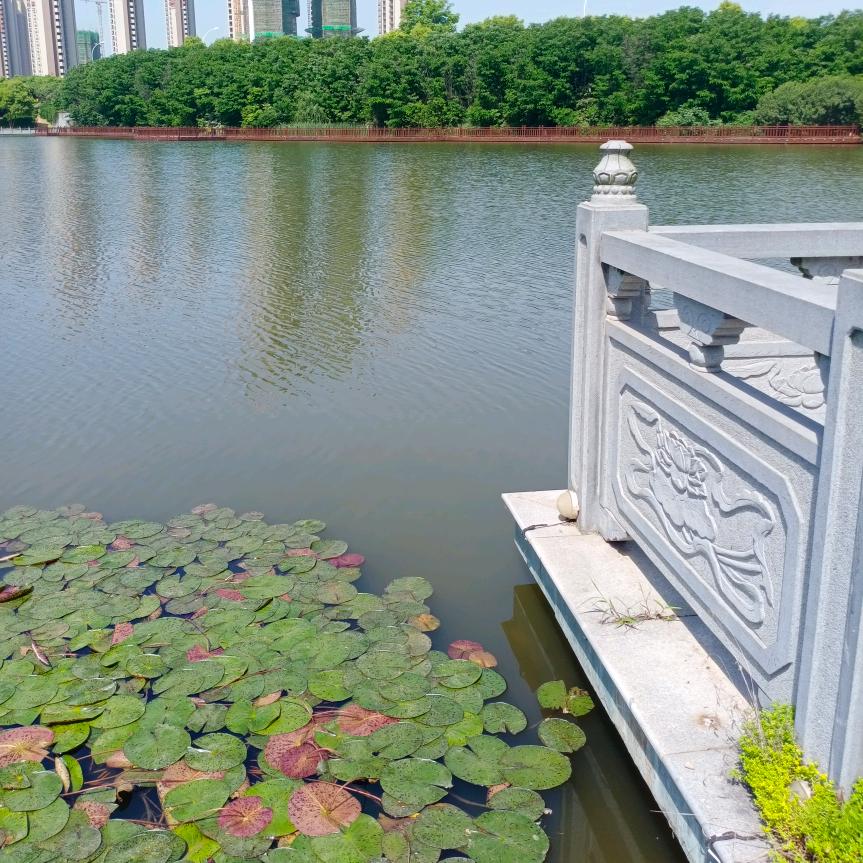 来了，来了①