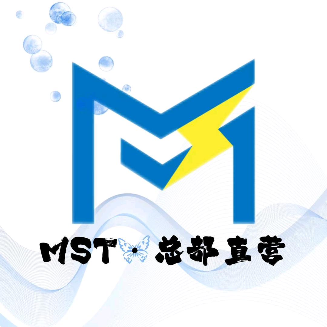 MST高中新思路