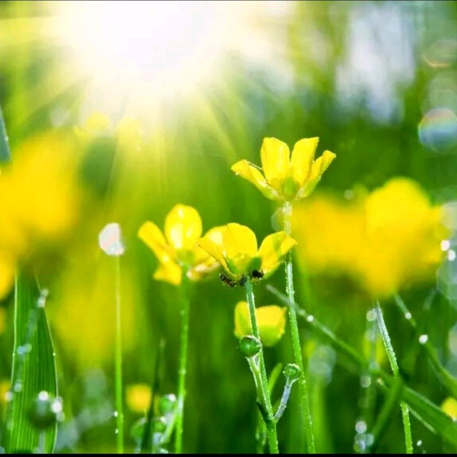 福气🈵️🈵️