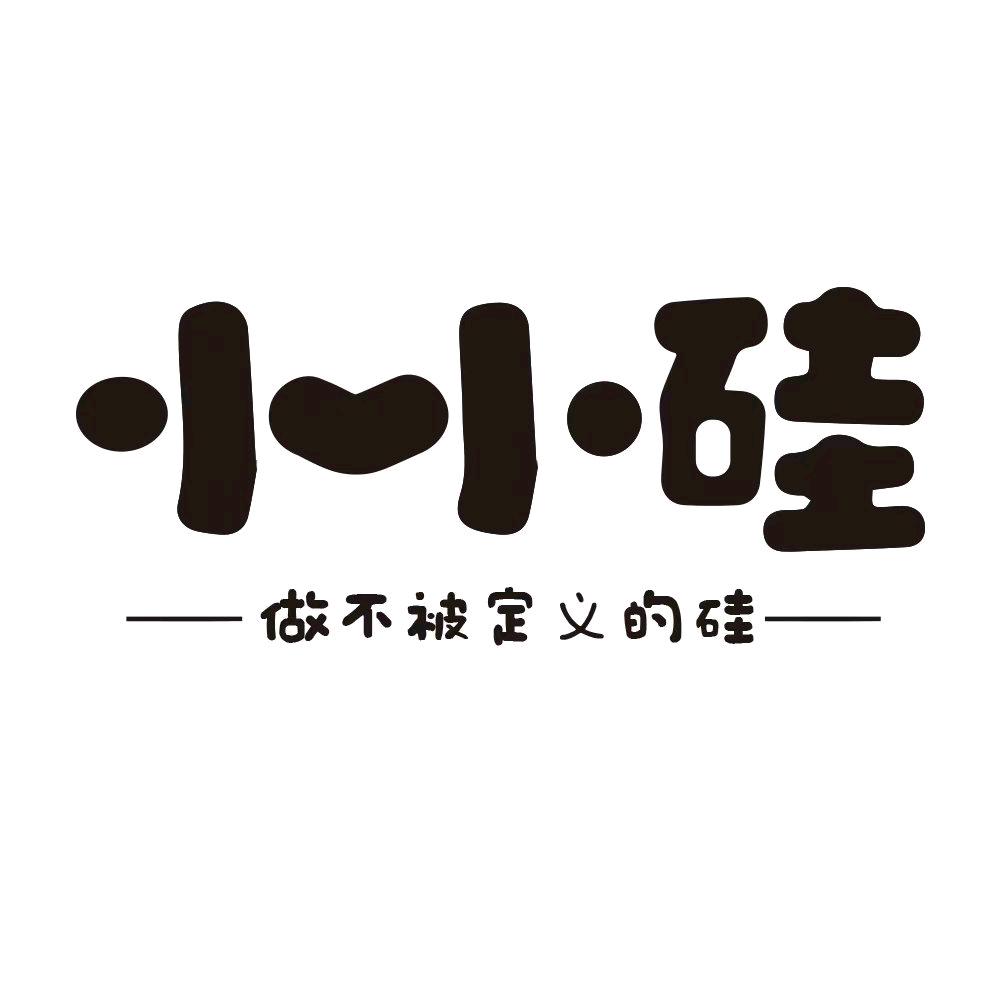 小小硅