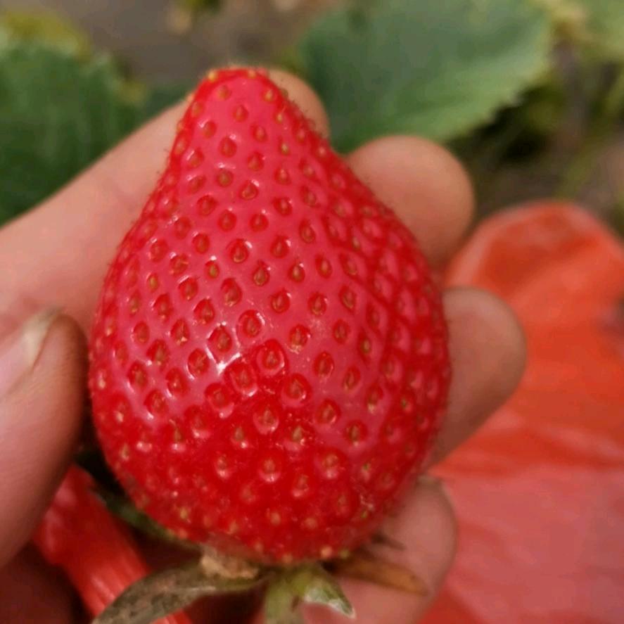 整天穿工装的小伙