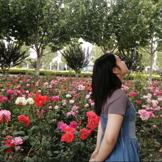 叶子