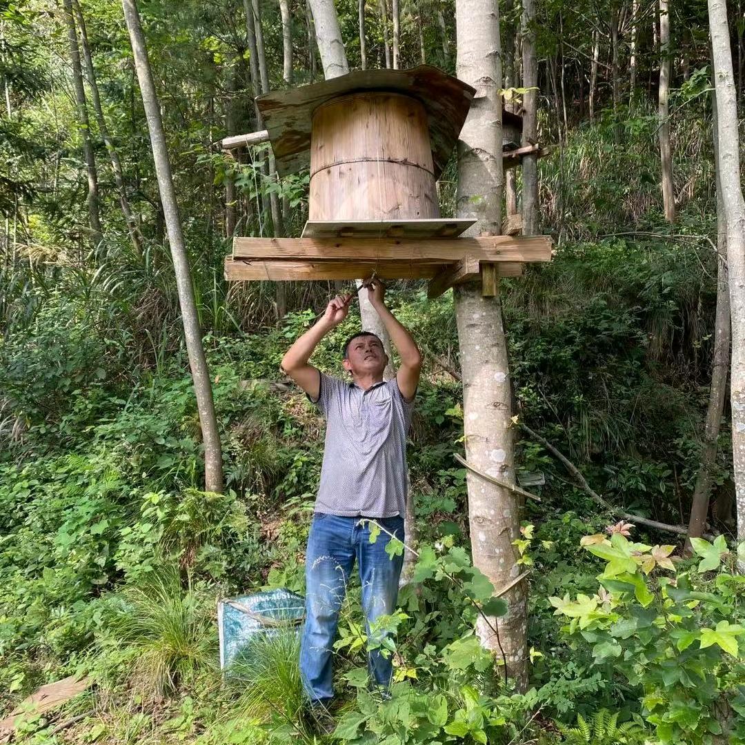 武宁伊山养蜂人老孔