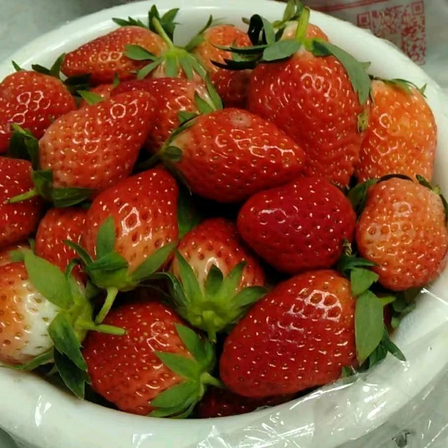 阳光