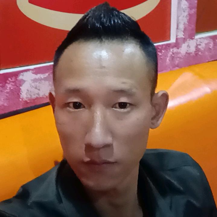 晓晓龙