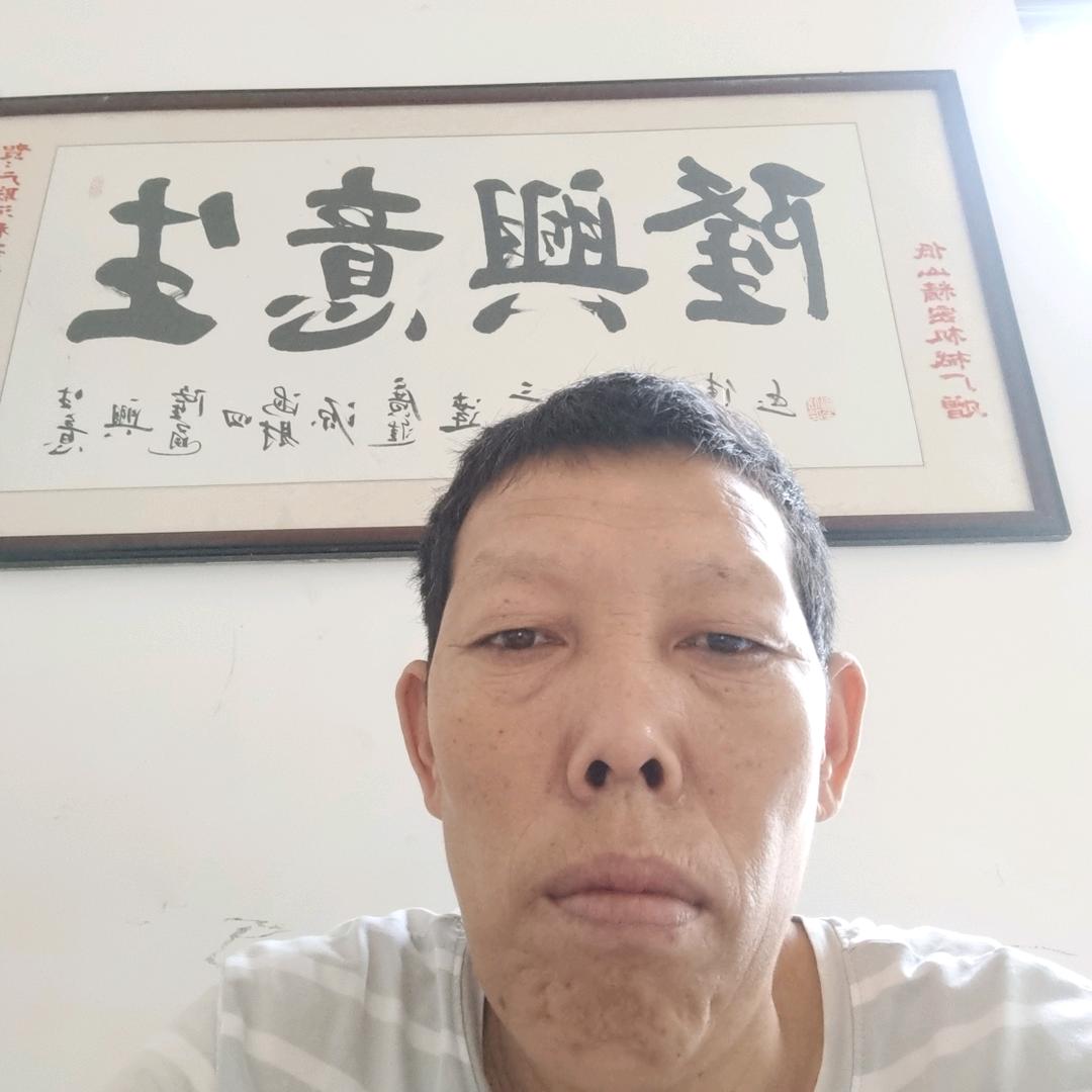 笨朱