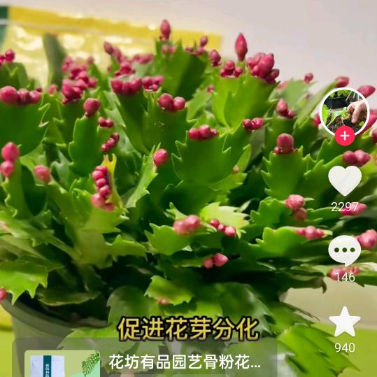 善良给错人