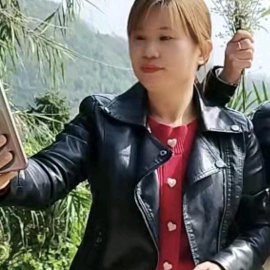 梦梦