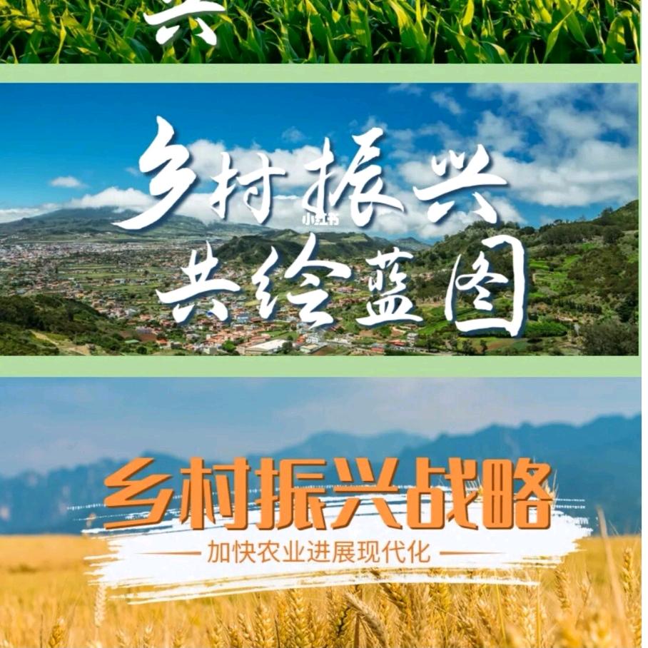 建新村熊国龙助农