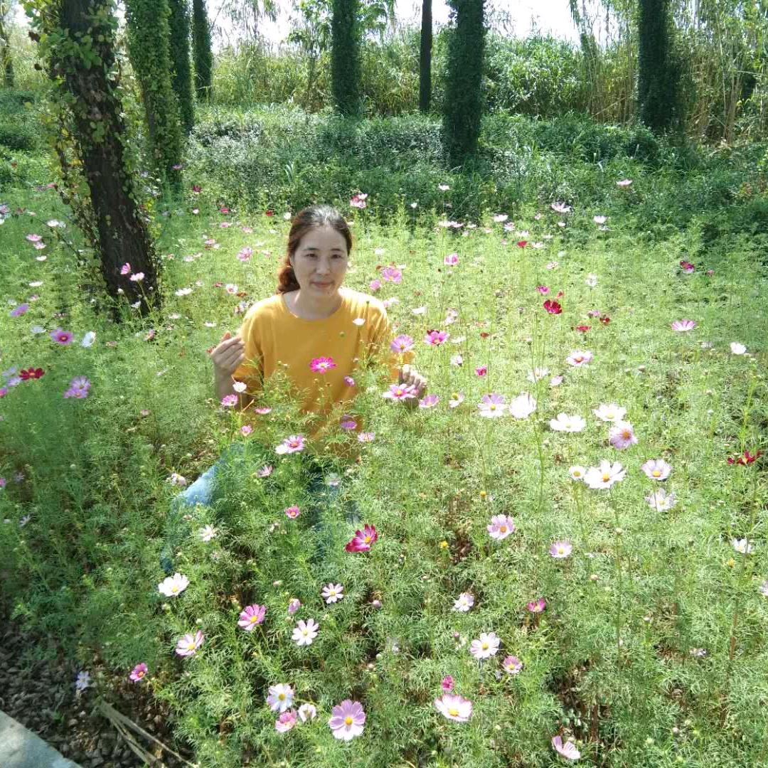 晴空万里