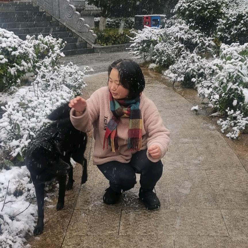 苹果