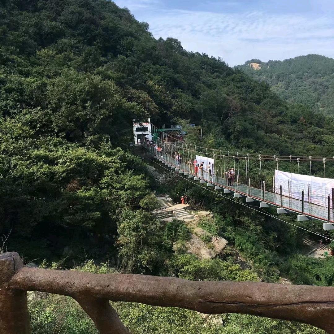 自由飞翔
