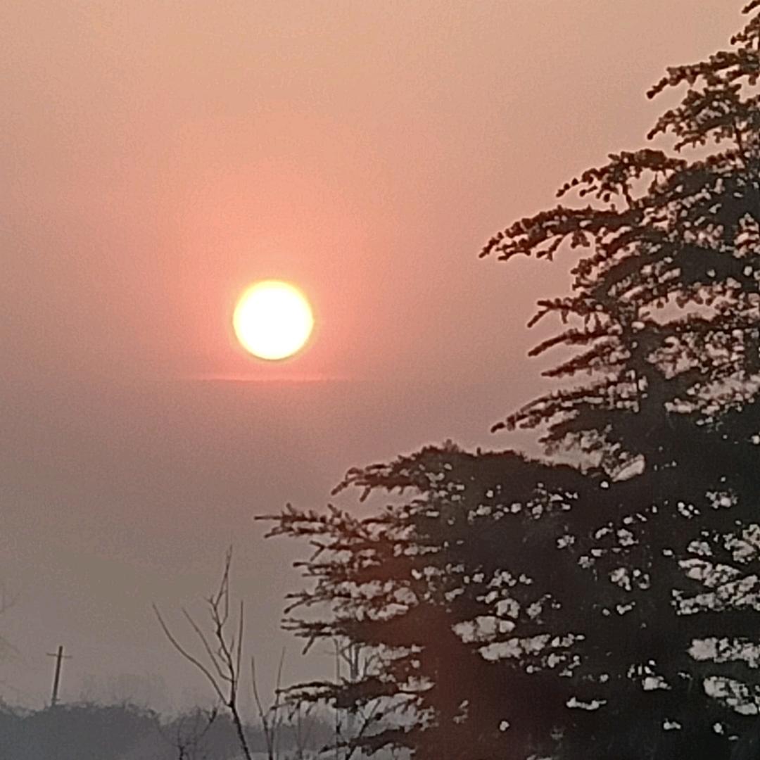 太阳红