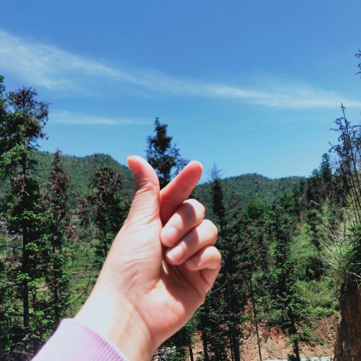 阿丽