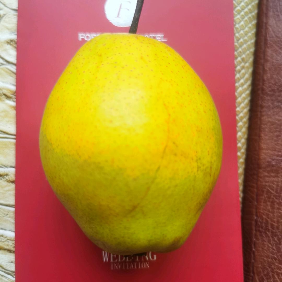 鹅鹅鹅鹅鹅